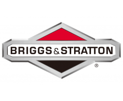 Briggs and Stratton Gas Powered Recoil Start Portable inverter 30651 2,200-Watt